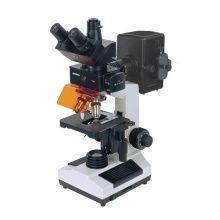 Wn-FM107 CCD-Camera Fluorescent Microscope